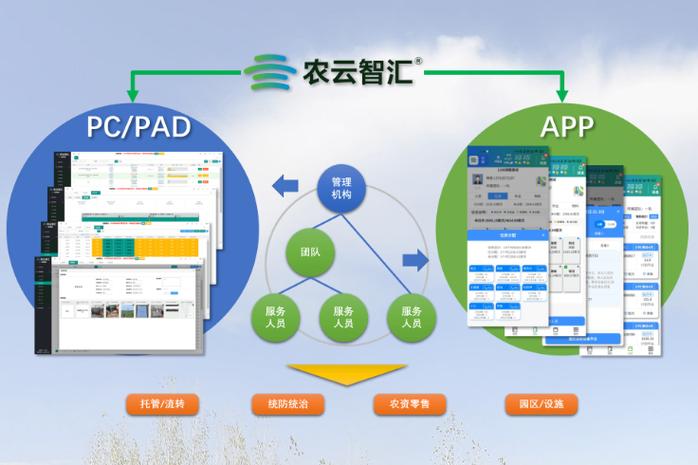 网络技术服务的多元价值与发展方向
